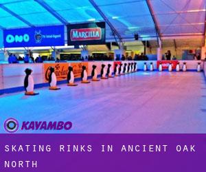 Skating Rinks in Ancient Oak North