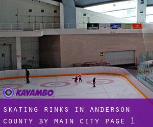 Skating Rinks in Anderson County by main city - page 1