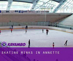 Skating Rinks in Annette