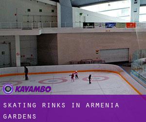 Skating Rinks in Armenia Gardens