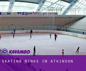 Skating Rinks in Atkinson