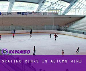Skating Rinks in Autumn Wind