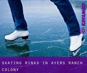 Skating Rinks in Ayers Ranch Colony