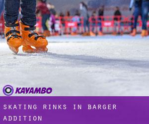 Skating Rinks in Barger Addition