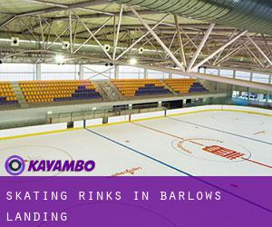 Skating Rinks in Barlows Landing