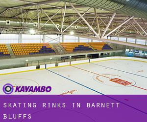 Skating Rinks in Barnett Bluffs Skating Rinks in Barnett Bluffs
