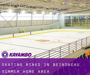 Skating Rinks in Beindneau Summer Home Area