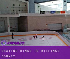 Skating Rinks in Billings County