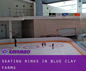Skating Rinks in Blue Clay Farms
