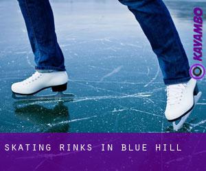 Skating Rinks in Blue Hill