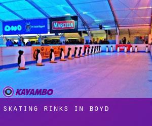Skating Rinks in Boyd