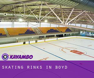 Skating Rinks in Boyd