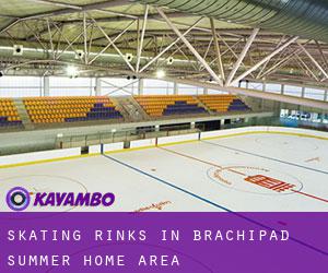 Skating Rinks in Brachipad Summer Home Area
