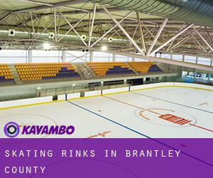 Skating Rinks in Brantley County