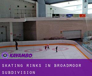 Skating Rinks in Broadmoor Subdivision