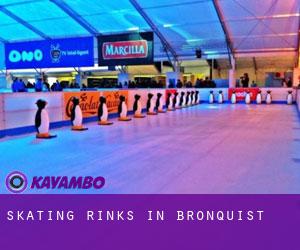 Skating Rinks in Bronquist