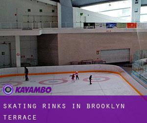 Skating Rinks in Brooklyn Terrace
