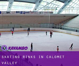 Skating Rinks in Calomet Valley