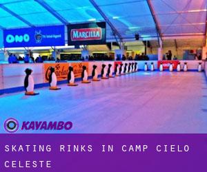 Skating Rinks in Camp Cielo Celeste