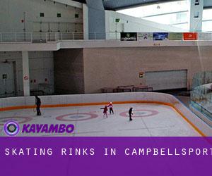 Skating Rinks in Campbellsport