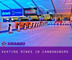Skating Rinks in Cannonsburg