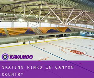 Skating Rinks in Canyon Country