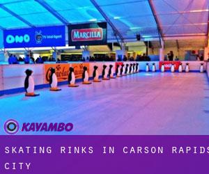 Skating Rinks in Carson Rapids City