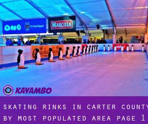 Skating Rinks in Carter County by most populated area - page 1
