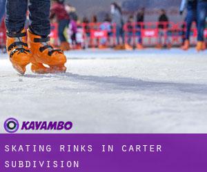 Skating Rinks in Carter Subdivision