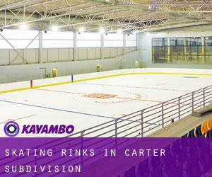 Skating Rinks in Carter Subdivision