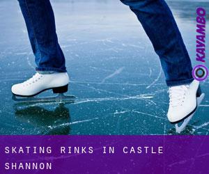 Skating Rinks in Castle Shannon