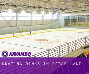 Skating Rinks in Cedar Land