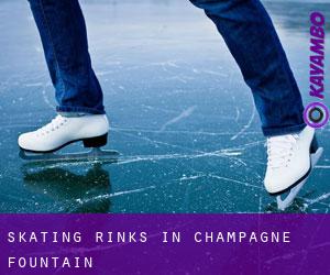 Skating Rinks in Champagne Fountain