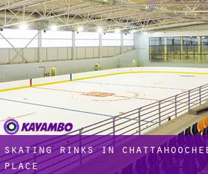 Skating Rinks in Chattahoochee Place