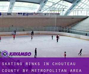 Skating Rinks in Chouteau County by metropolitan area - page 1