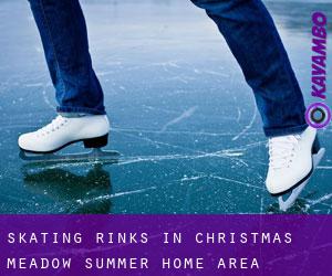 Skating Rinks in Christmas Meadow Summer Home Area