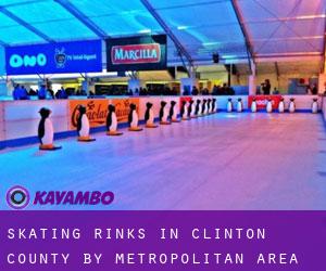 Skating Rinks in Clinton County by metropolitan area - page 1