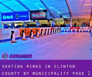 Skating Rinks in Clinton County by municipality - page 1