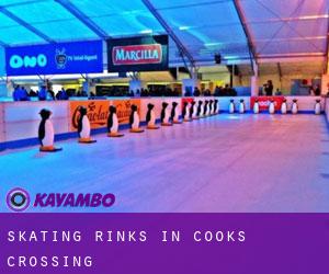 Skating Rinks in Cooks Crossing