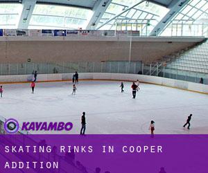 Skating Rinks in Cooper Addition