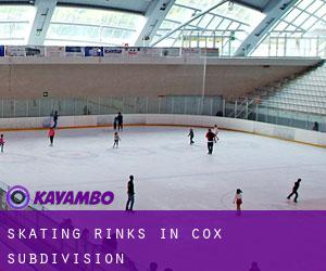 Skating Rinks in Cox Subdivision