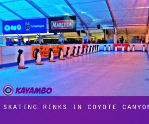 Skating Rinks in Coyote Canyon