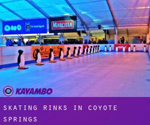 Skating Rinks in Coyote Springs