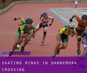 Skating Rinks in Dannemora Crossing
