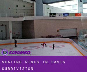 Skating Rinks in Davis Subdivision