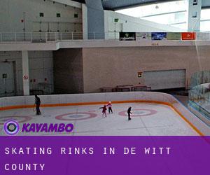 Skating Rinks in De Witt County