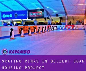 Skating Rinks in Delbert Egan Housing Project