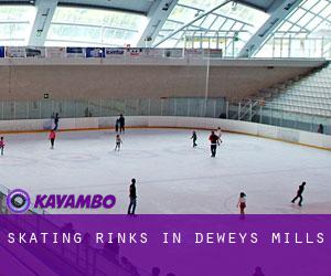 Skating Rinks in Deweys Mills