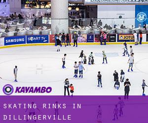Skating Rinks in Dillingerville