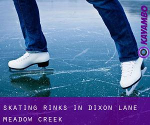Skating Rinks in Dixon Lane-Meadow Creek